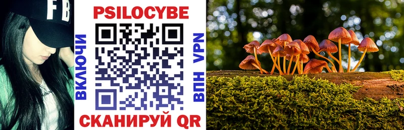 Галлюциногенные грибы Psilocybe Южно-Сухокумск