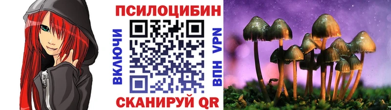 Псилоцибиновые грибы GOLDEN TEACHER  где продают наркотики  omg tor  Южно-Сухокумск 